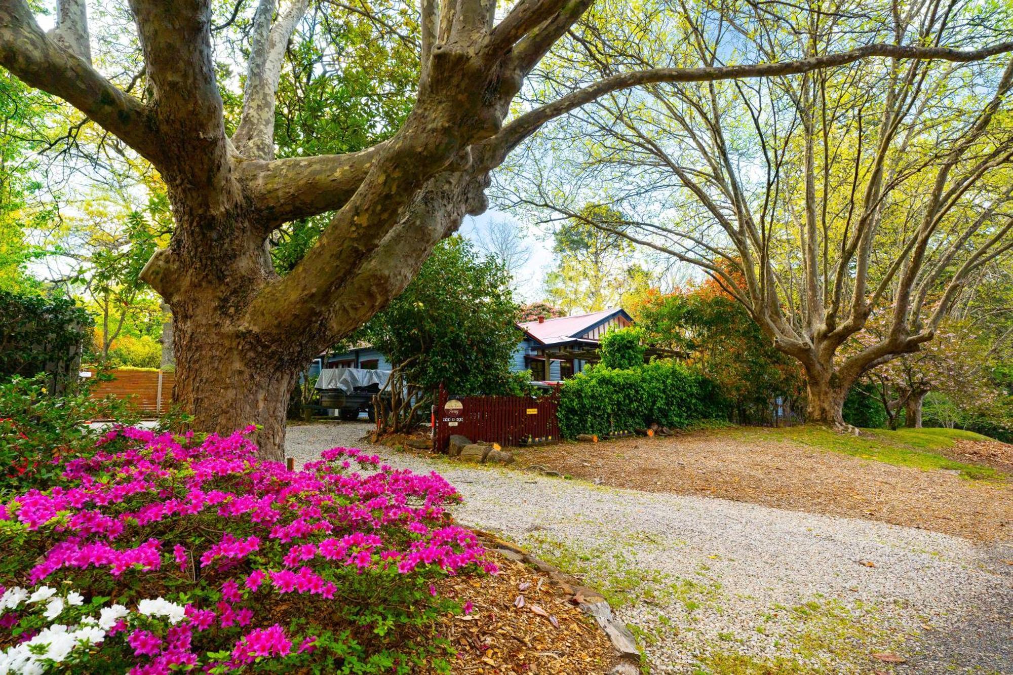 Kubba Roonga Guesthouse - Boutique Luxury Spa Retreat & Gardens - Blue Mountains ブラックヒース エクステリア 写真