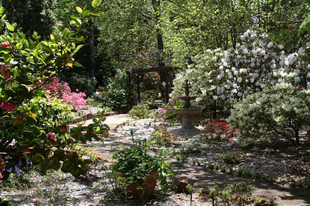 Kubba Roonga Guesthouse - Boutique Luxury Spa Retreat & Gardens - Blue Mountains ブラックヒース エクステリア 写真